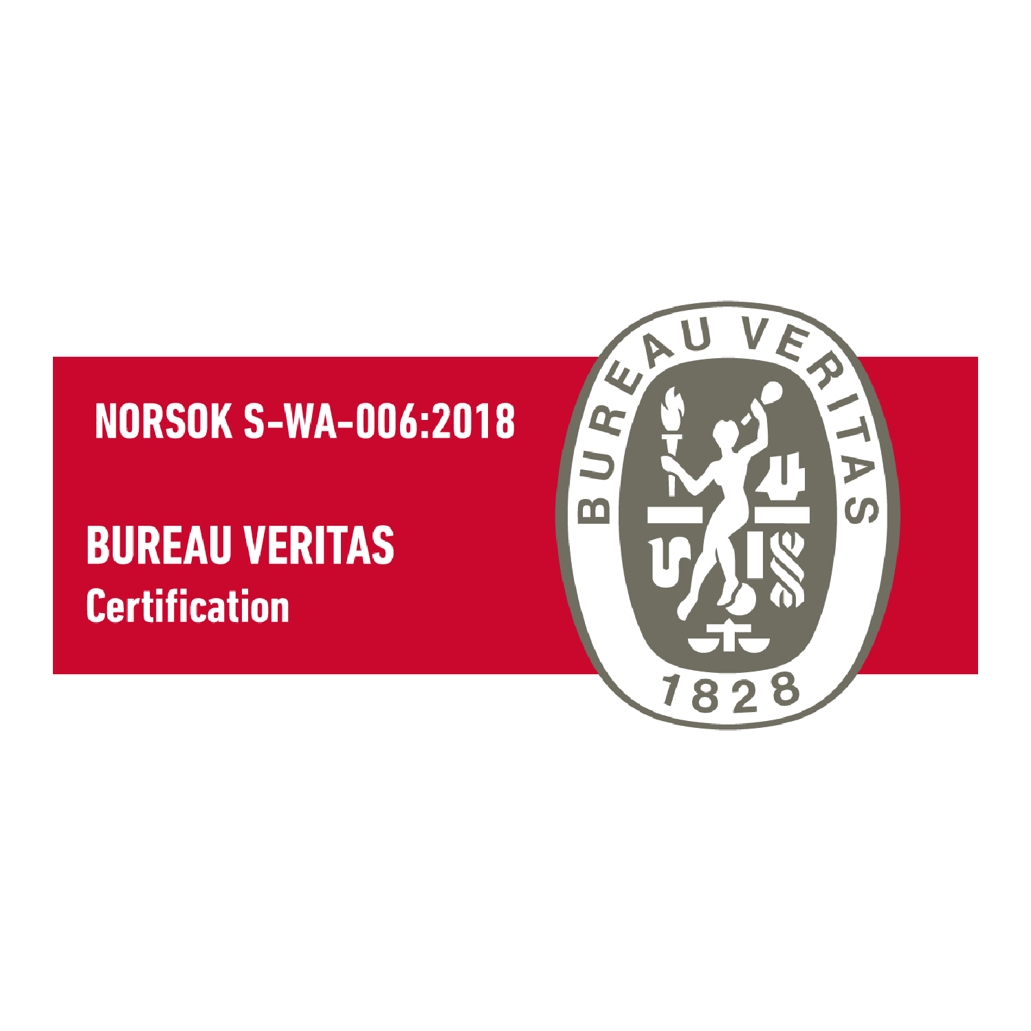 NORSOK S-WA-006:2018 — Bureau Veritas