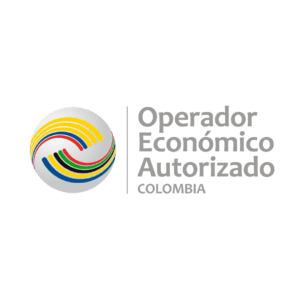 Copia de 6